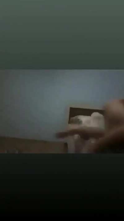 yanıyoooooo