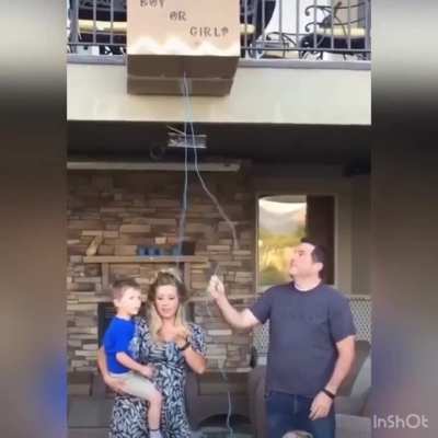 Baby Gender Reveal!