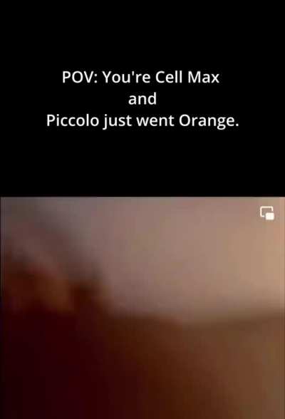 Piccolo: "I'm going to start hitting you now, I don't know when I'll stop."
