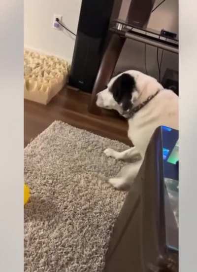 It's the side-eye that gets me
