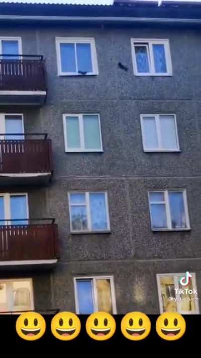 Белочки
