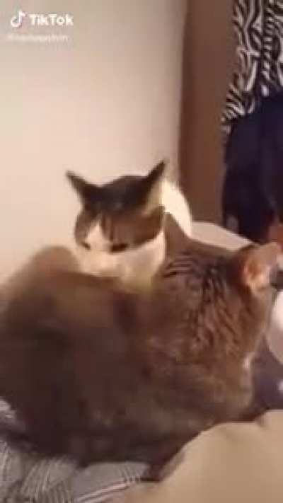 A battle of titans