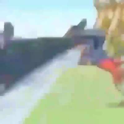 Adi&oacute;s
