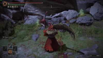Gotta love them ragdolls