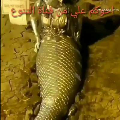 ذنوب