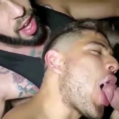 Taste Sensation