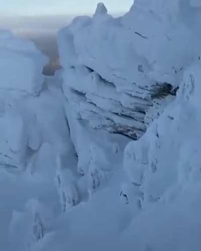 🔥 Snow in the wild looks so wonderful.