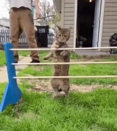 Mistakes were made