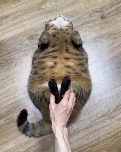 Daily exercise