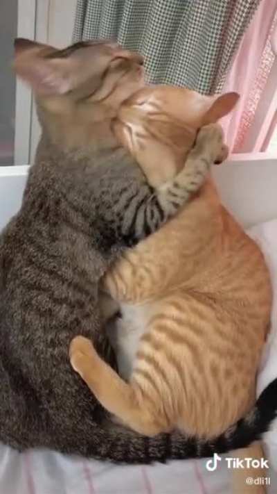 Omg &hellip;I think it is the biggest love 💕