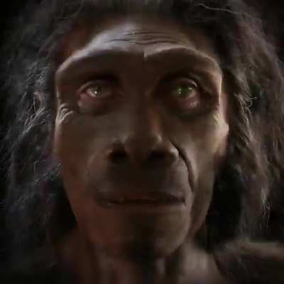 Monke