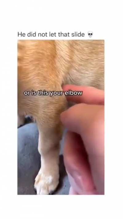 elbow