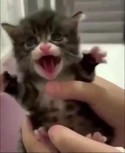 You wanna die..?