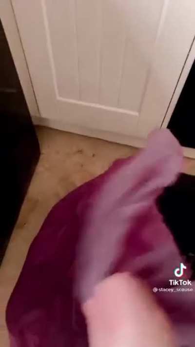 Pee pee juice sock😵
