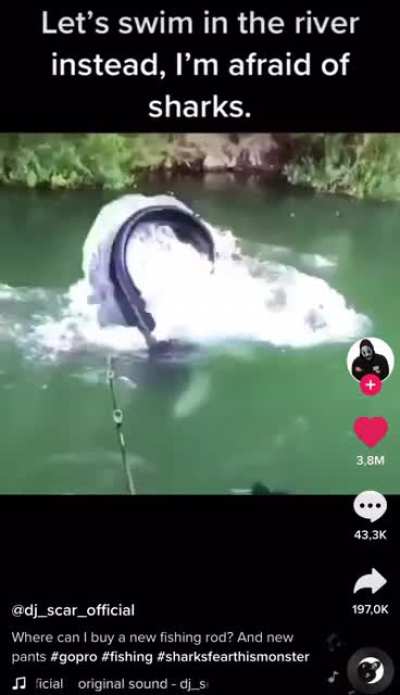 I feel like this belongs here