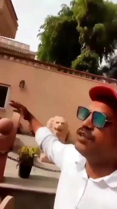 kedi chej