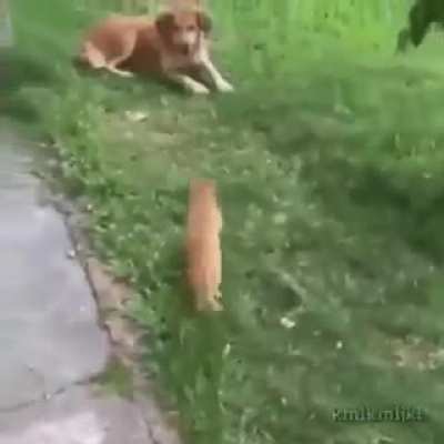 Precision kill