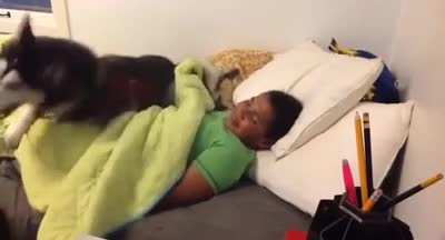 "Why were you late for school? My dog didn't let me get out of bed.."