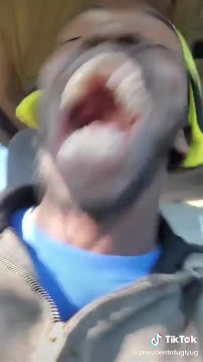 face v2
