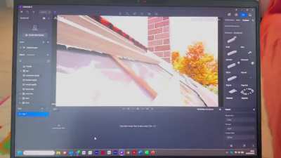 D5 render problem