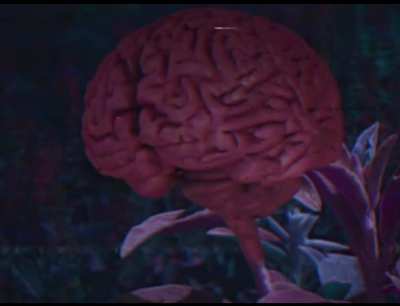 cursed_botany