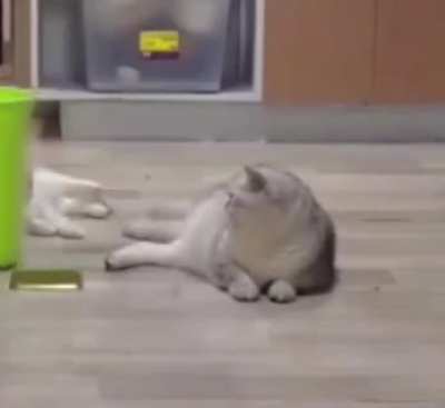 hmmm