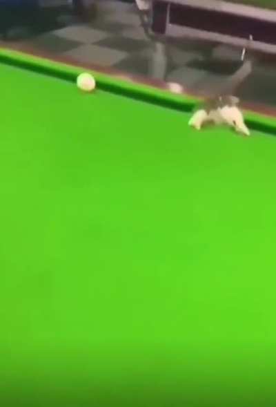 ball in the hole!😂