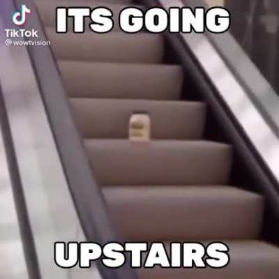 Memes are degrading from stupid to "what the fuck is wrong with you"