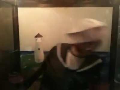 cursed_sailor
