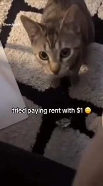 He’s getting evicted, Broke ass