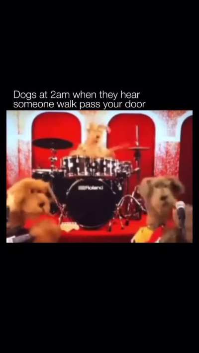 As I lay barking