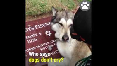 :'(
