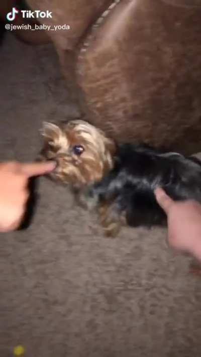 Lil baby man