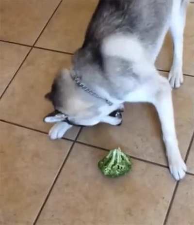 Derping Hard