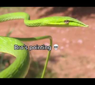 Tf