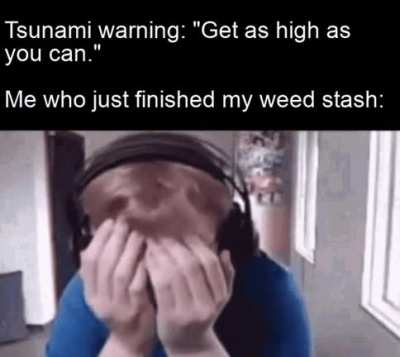 *proceeds to die in tsunami*