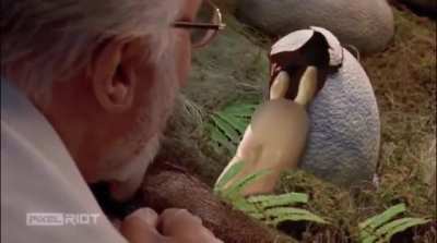 Not sure if it was posted here before, but I don&rsquo;t remember this scene in Jurassic park.
