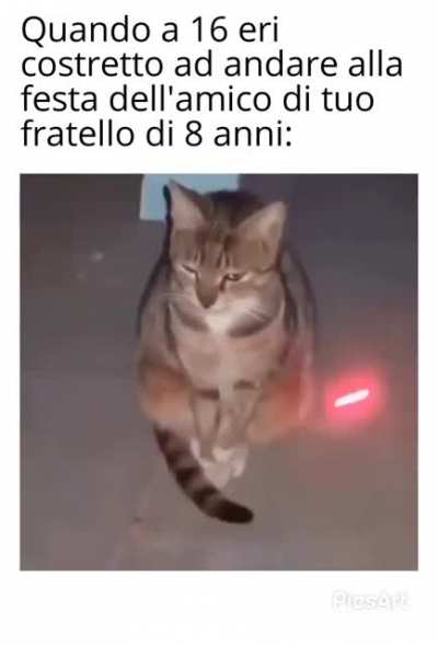 Com'&egrave;?
