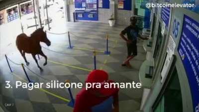 Top investimentos fam&iacute;lia 🇧🇷👍😎👈