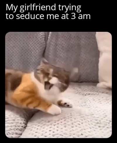 Absolutelynotmeirl
