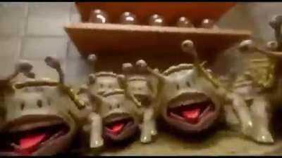 Footage from Hassan&rsquo;s daycare on debate day