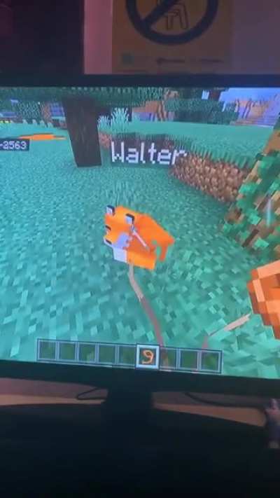 oh walter