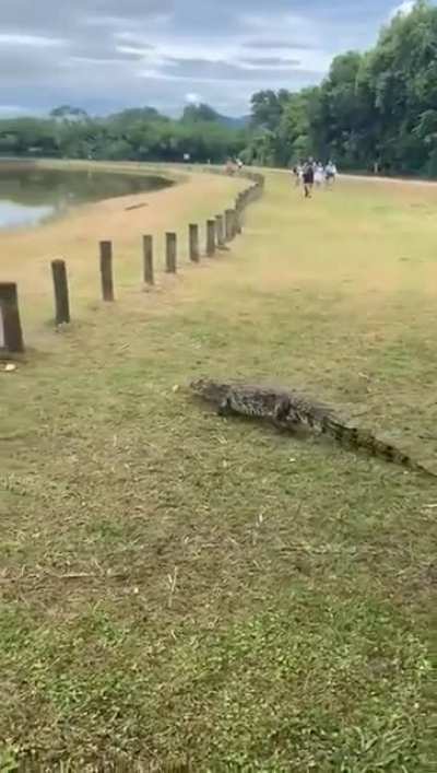 he wanted to join the picnic