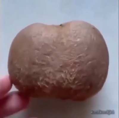 Not the shnuts