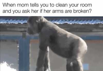 Don&rsquo;t do it, momma will wreck you