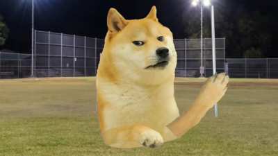 Le Zeus has arrived