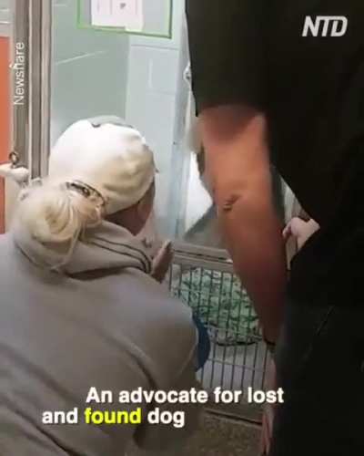 Dog Reunited With her Owner After Getting Lost