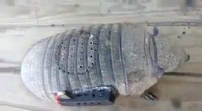 music player armadillo. +20 defense, +100 cumbias
