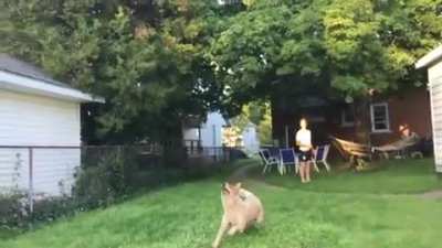 To Catch a Frisbee
