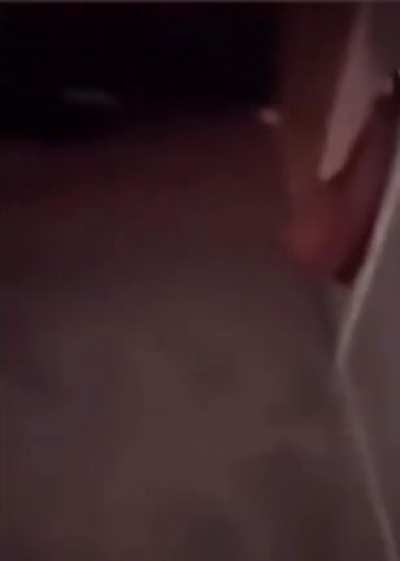 i&rsquo;m scared of spiders
